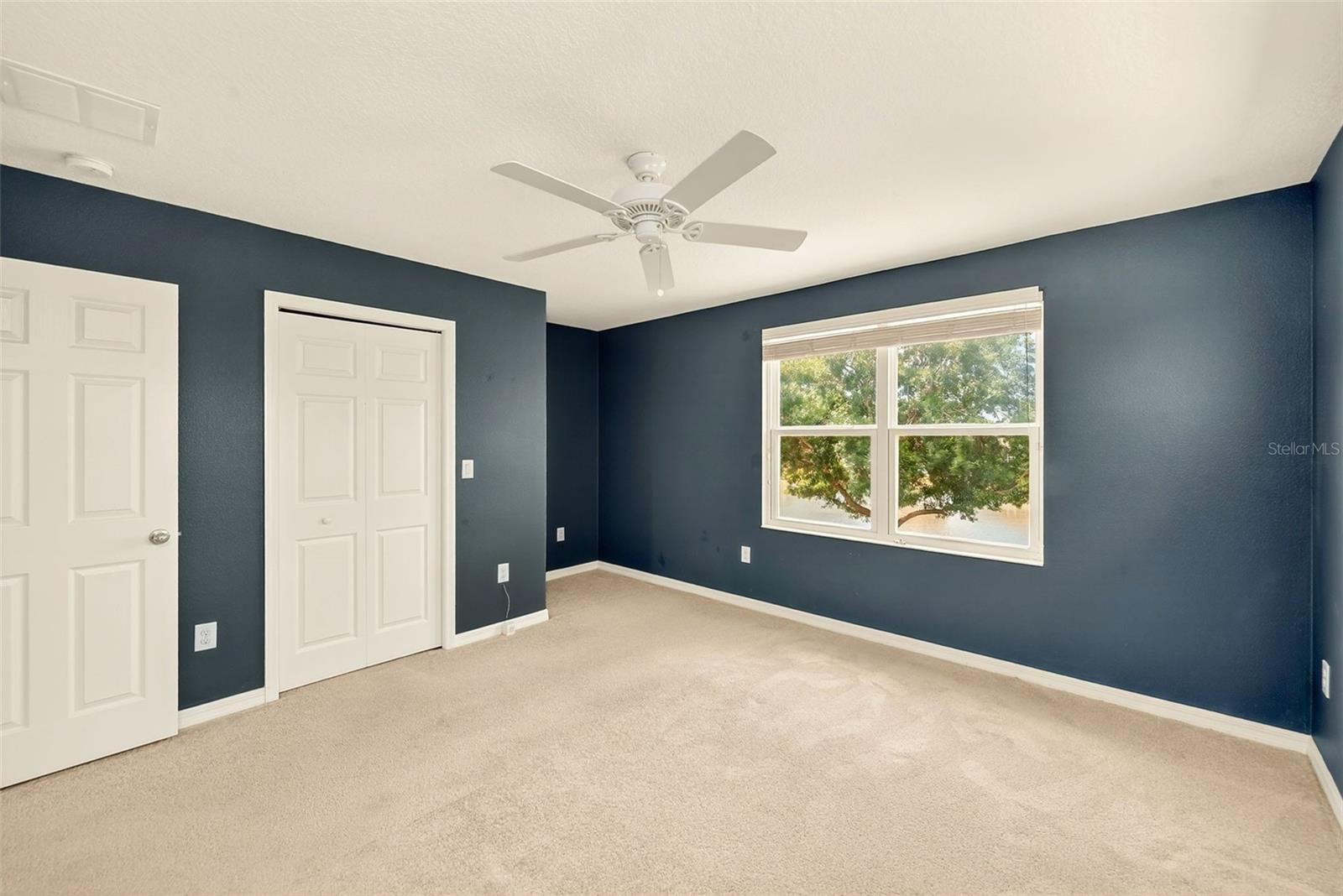 6905 TOWERING SPRUCE DR, RIVERVIEW, FL, 33578