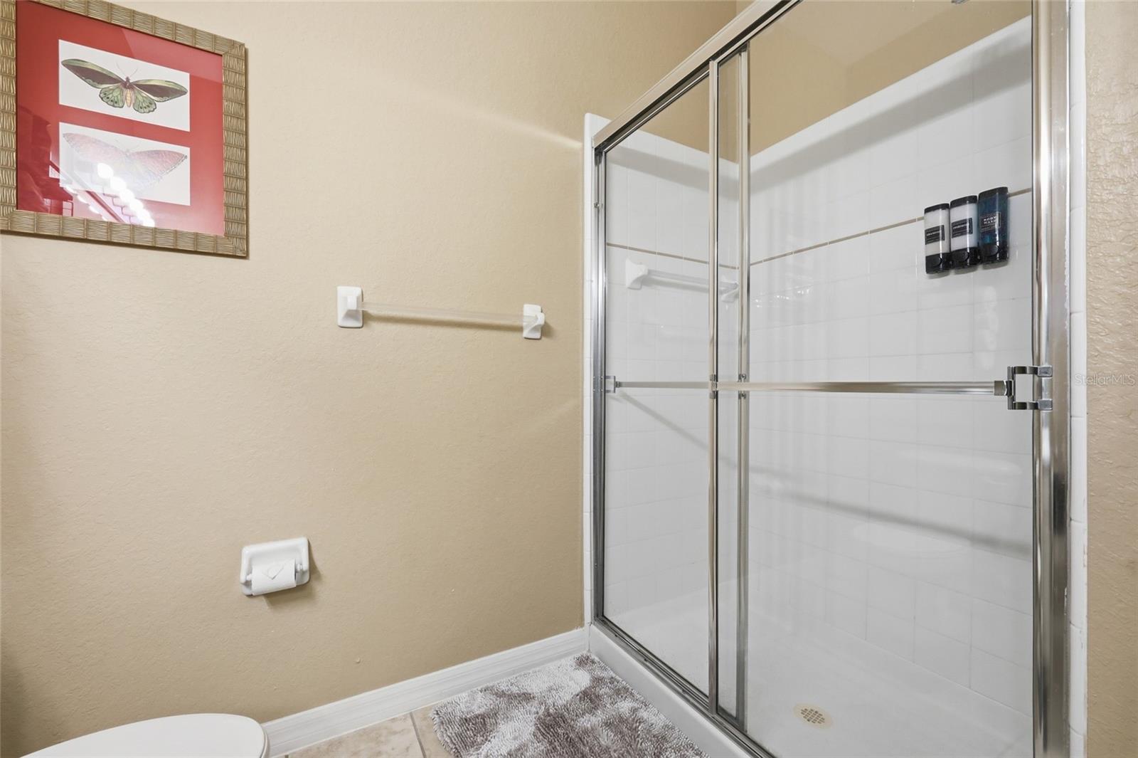 410 LUCAYA LOOP #4204, DAVENPORT, FL, 33897