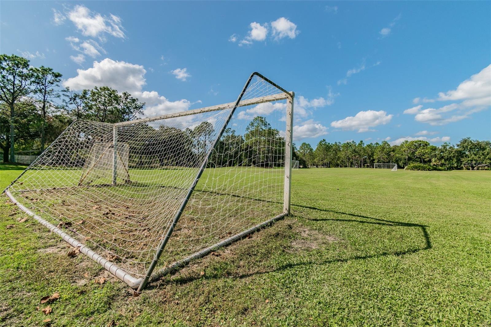 9481 HIGHLAND OAK DR #1615, TAMPA, FL, 33647