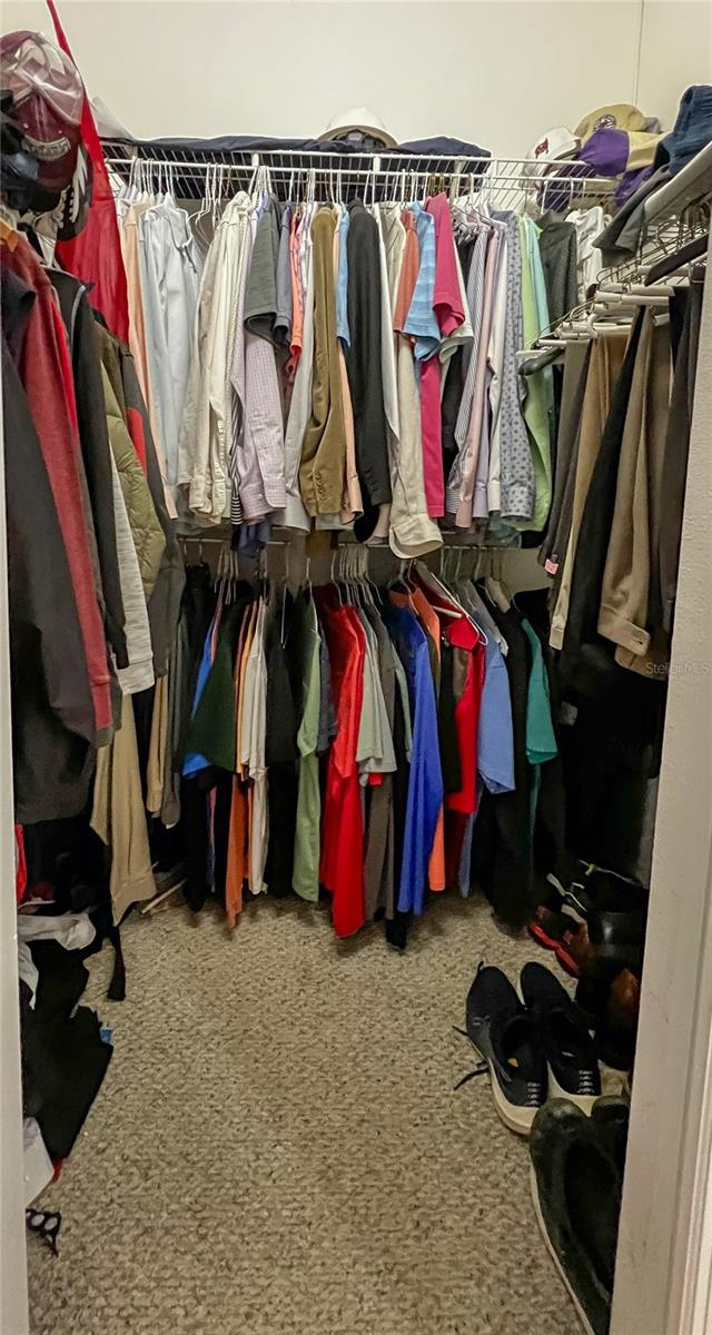 9046 SHENANDOAH RUN, WESLEY CHAPEL, FL, 33544