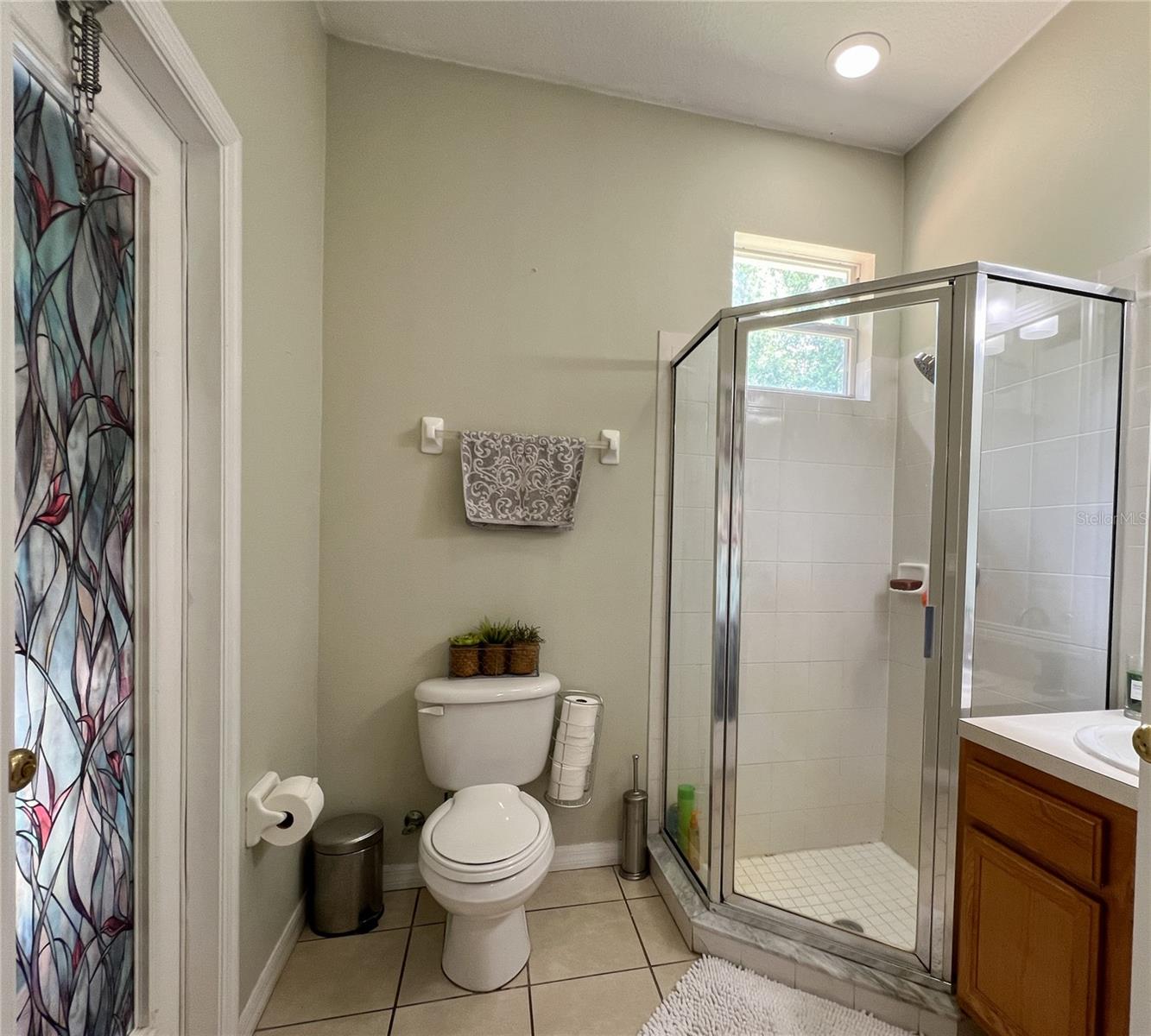 9046 SHENANDOAH RUN, WESLEY CHAPEL, FL, 33544