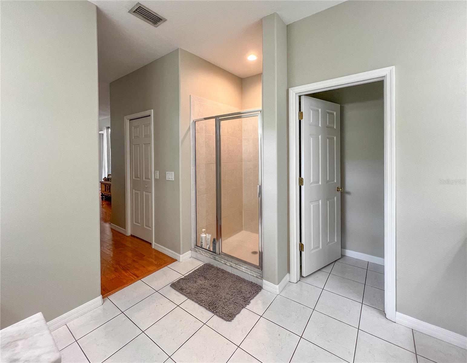 9046 SHENANDOAH RUN, WESLEY CHAPEL, FL, 33544