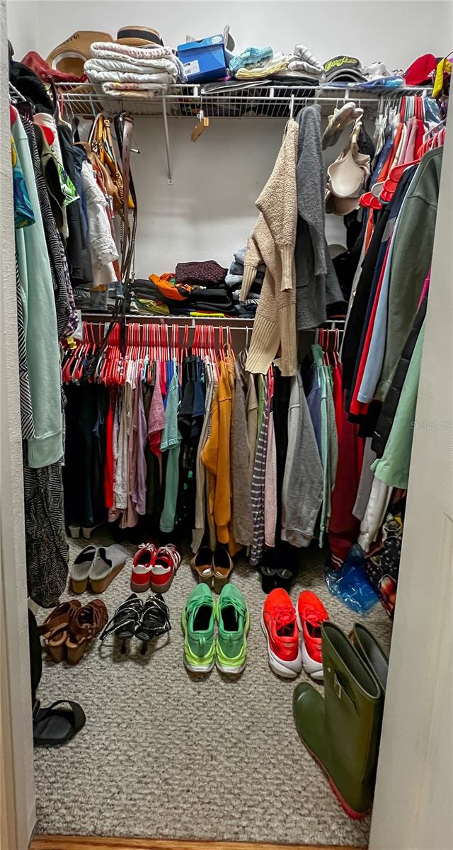 9046 SHENANDOAH RUN, WESLEY CHAPEL, FL, 33544