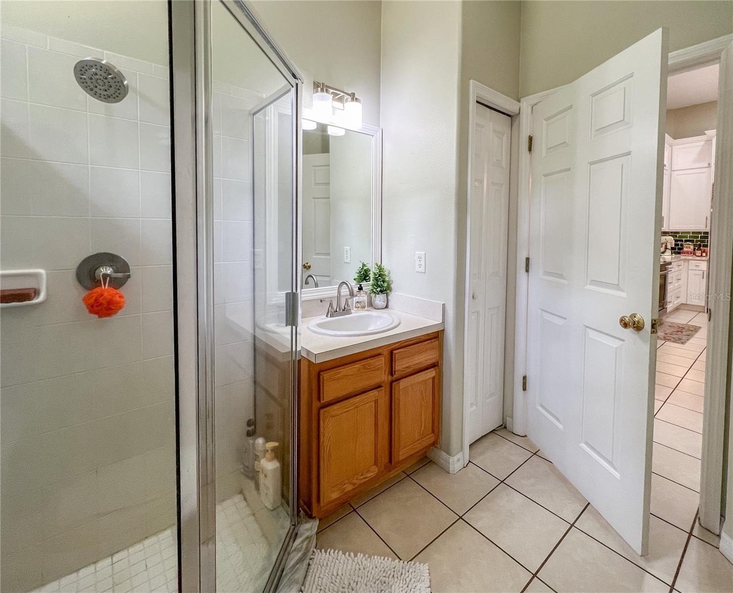 9046 SHENANDOAH RUN, WESLEY CHAPEL, FL, 33544