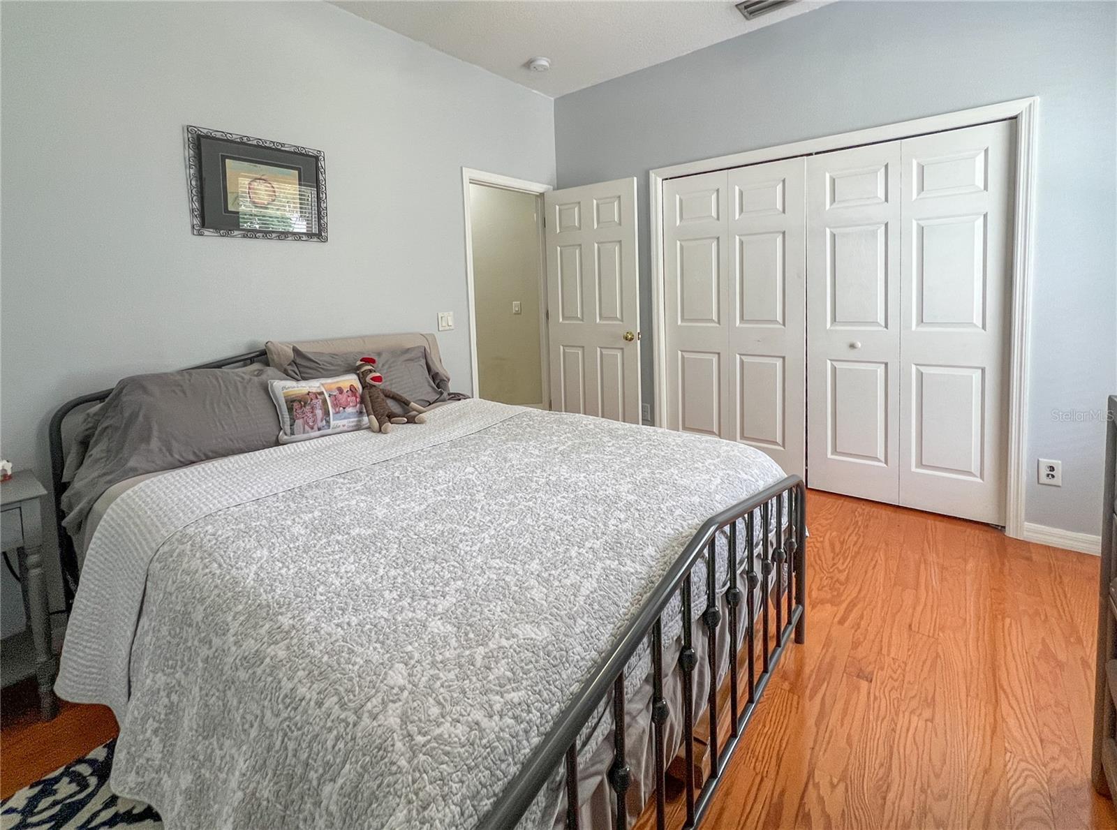 9046 SHENANDOAH RUN, WESLEY CHAPEL, FL, 33544