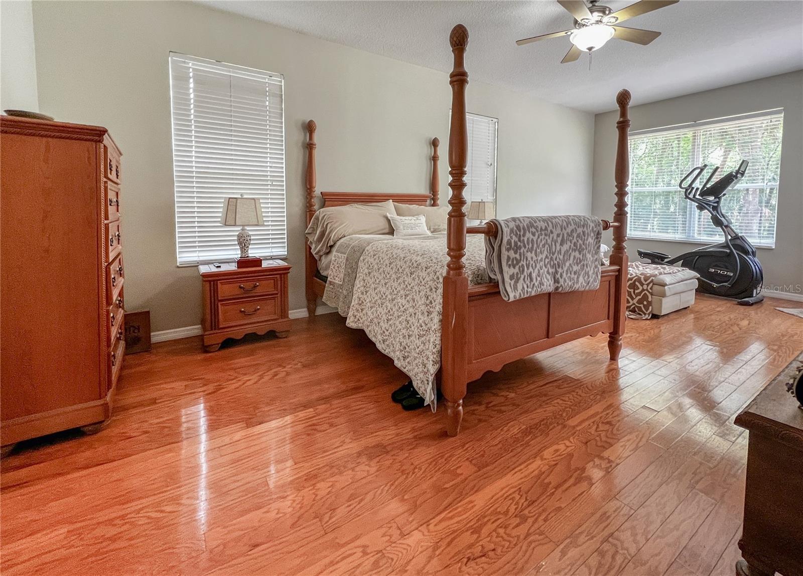 9046 SHENANDOAH RUN, WESLEY CHAPEL, FL, 33544