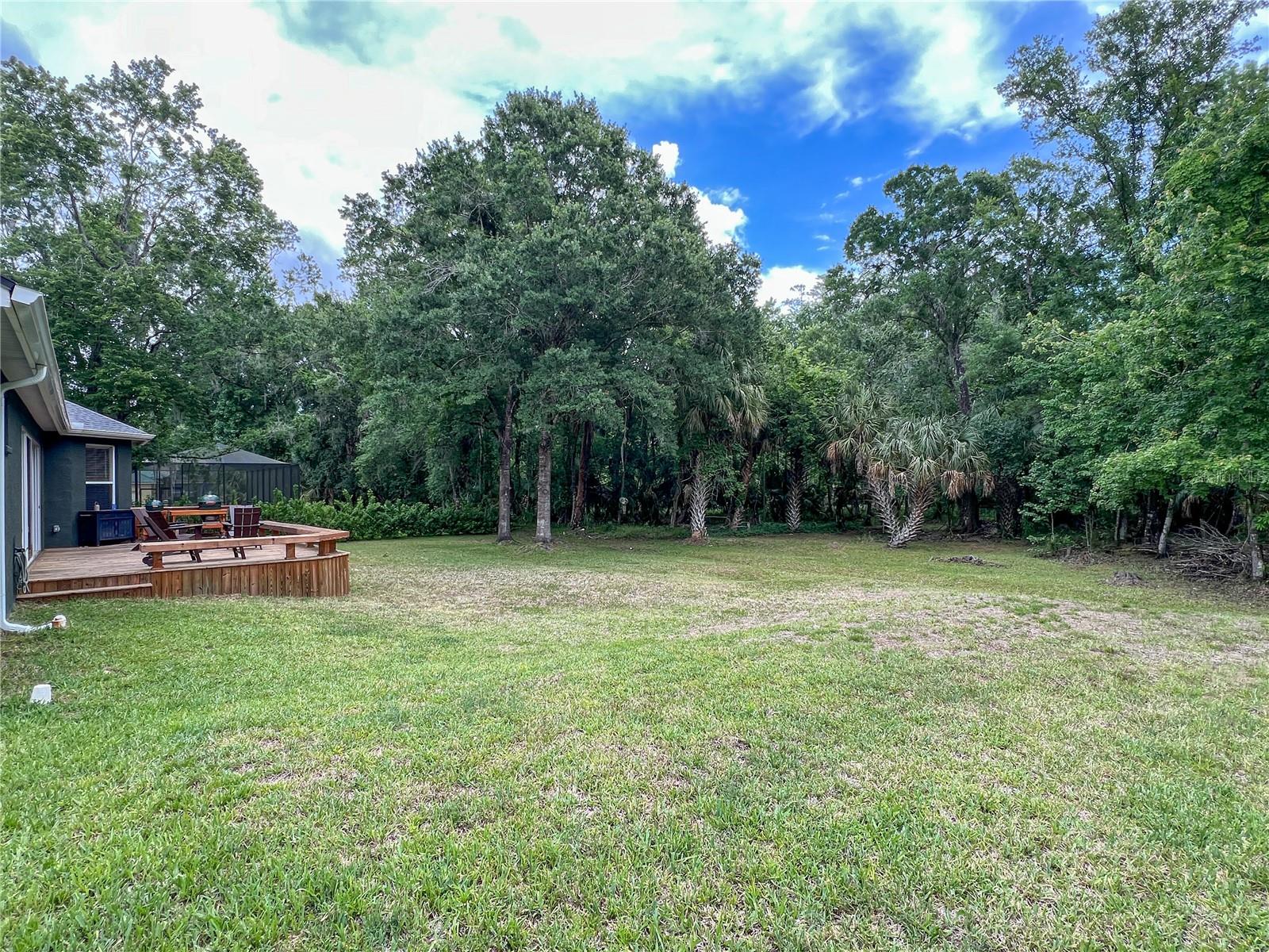 9046 SHENANDOAH RUN, WESLEY CHAPEL, FL, 33544