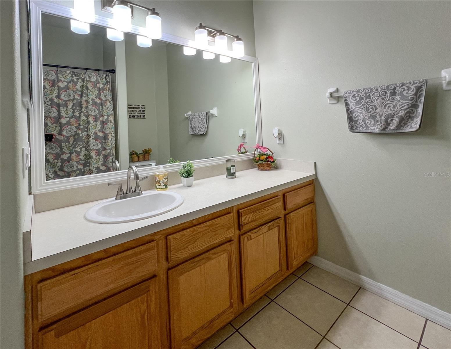 9046 SHENANDOAH RUN, WESLEY CHAPEL, FL, 33544