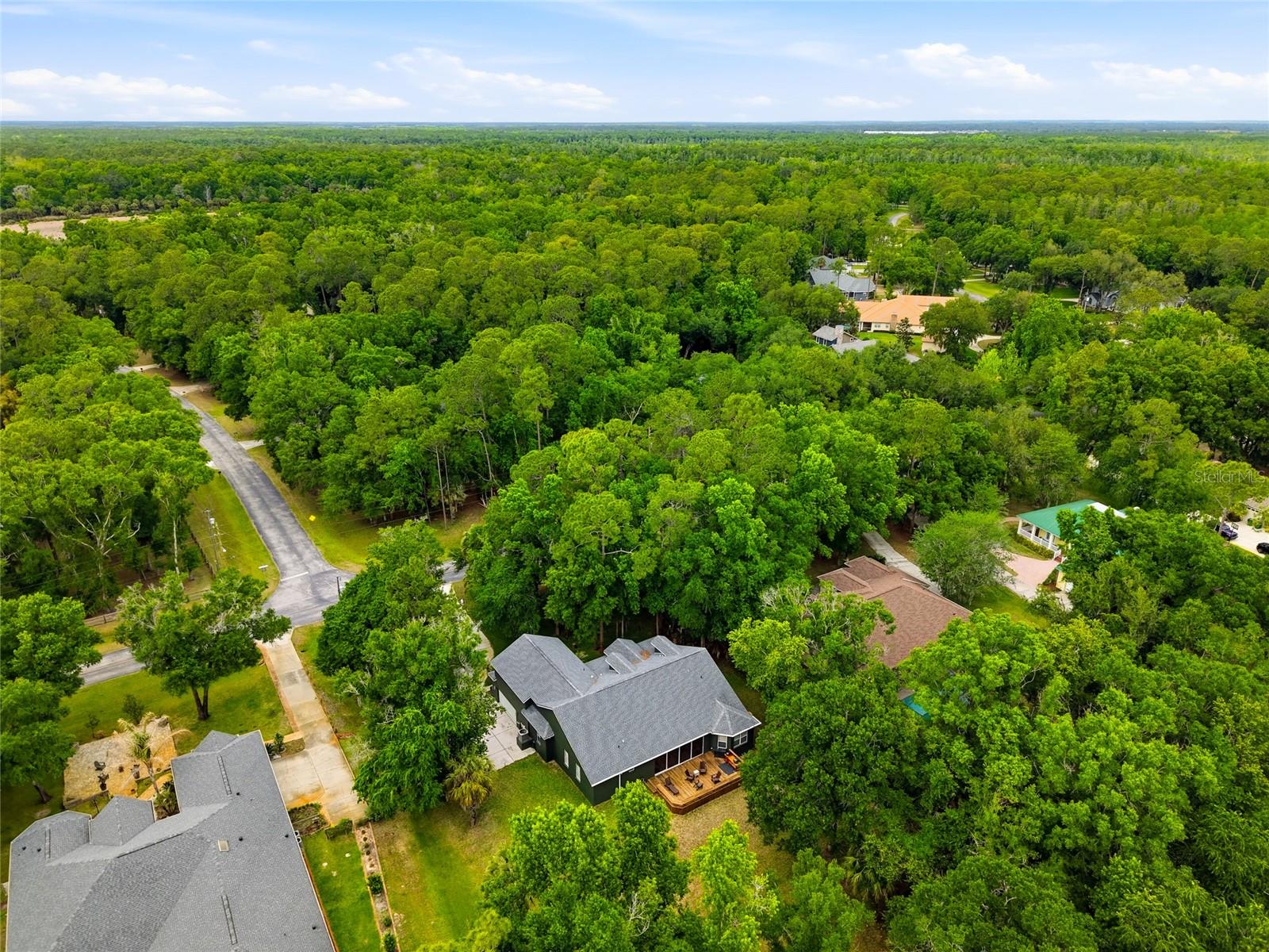 9046 SHENANDOAH RUN, WESLEY CHAPEL, FL, 33544