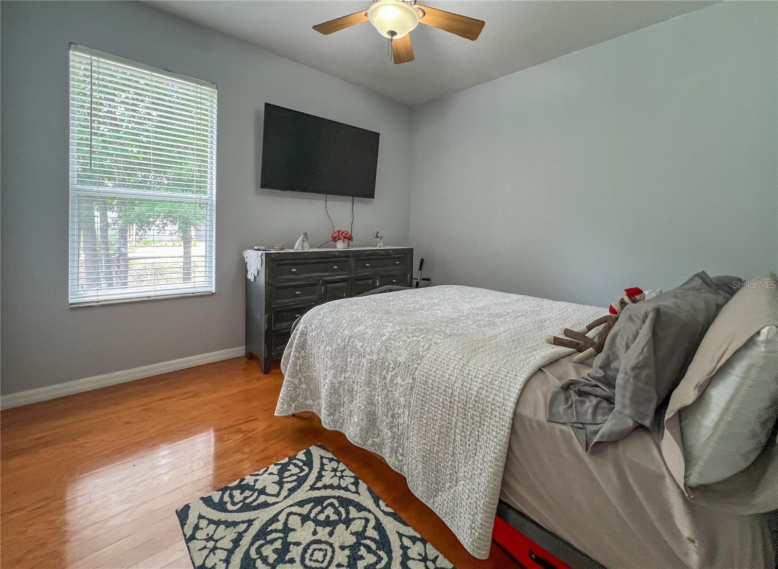 9046 SHENANDOAH RUN, WESLEY CHAPEL, FL, 33544