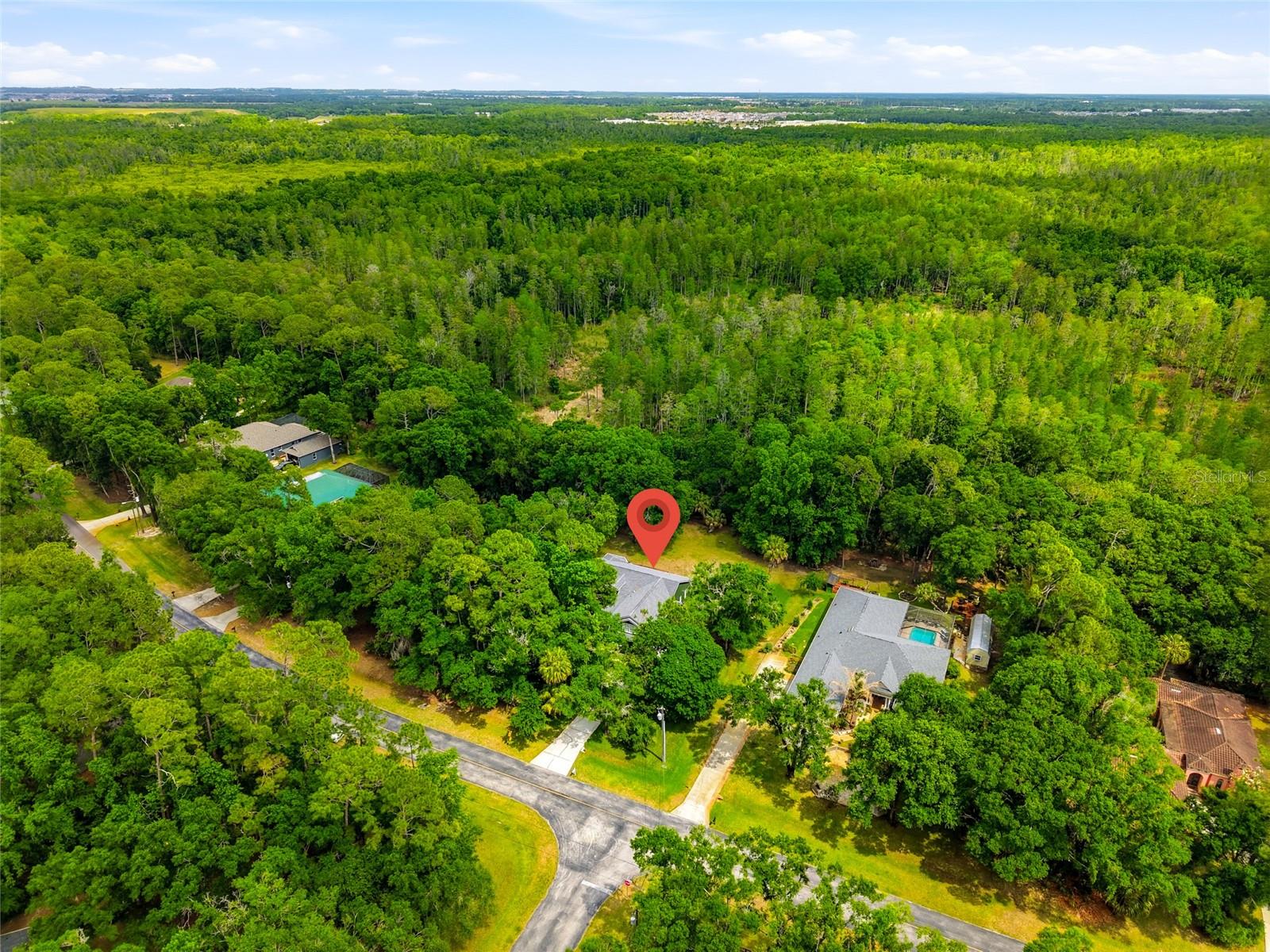 9046 SHENANDOAH RUN, WESLEY CHAPEL, FL, 33544