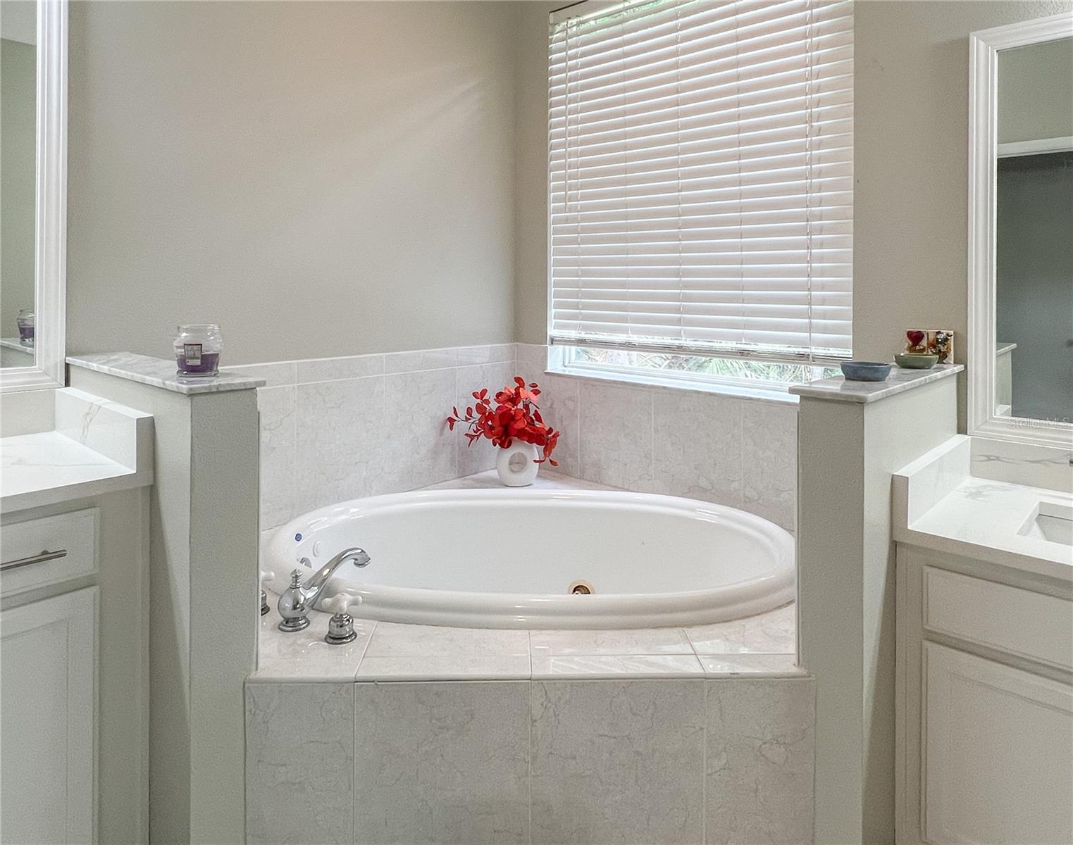 9046 SHENANDOAH RUN, WESLEY CHAPEL, FL, 33544