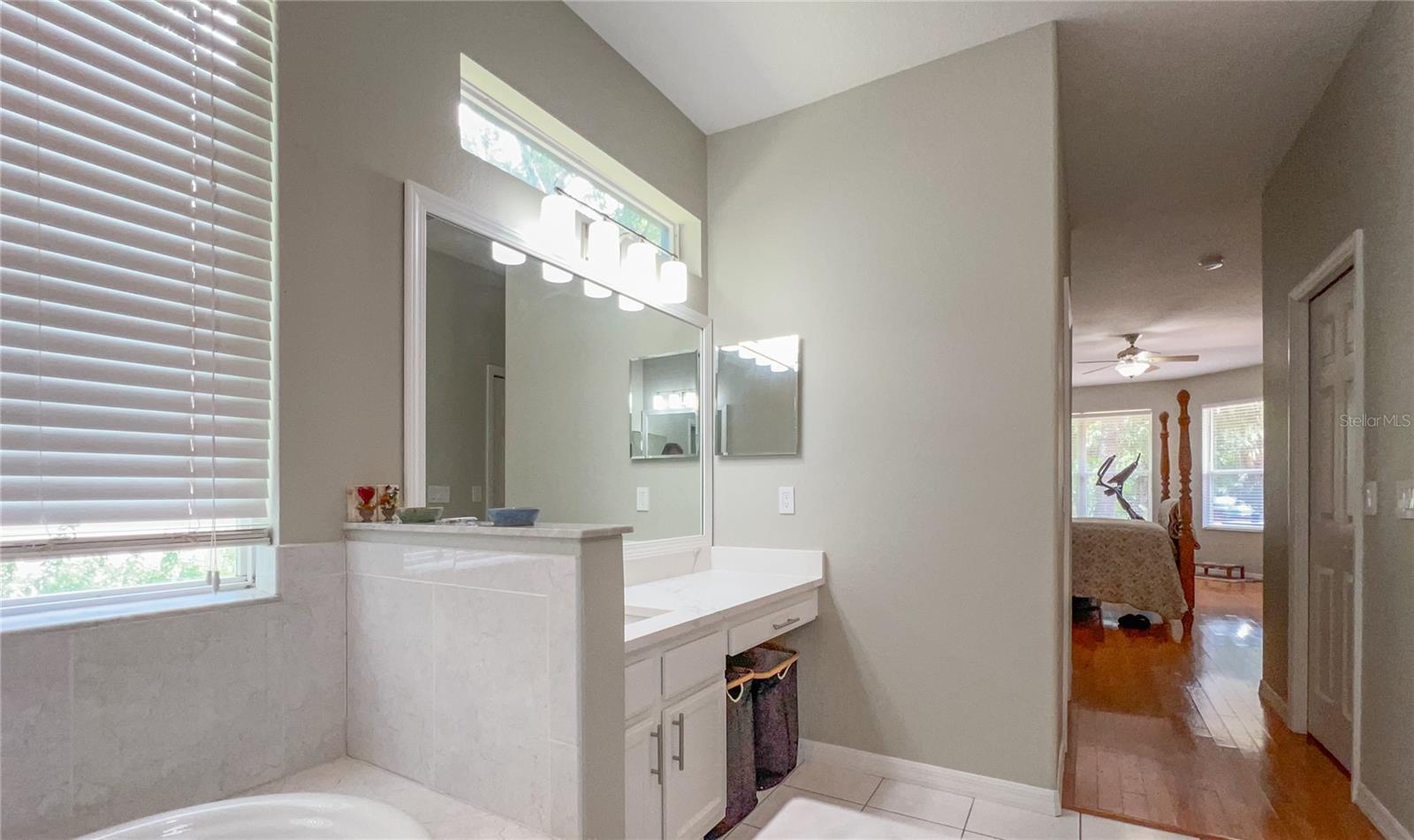 9046 SHENANDOAH RUN, WESLEY CHAPEL, FL, 33544