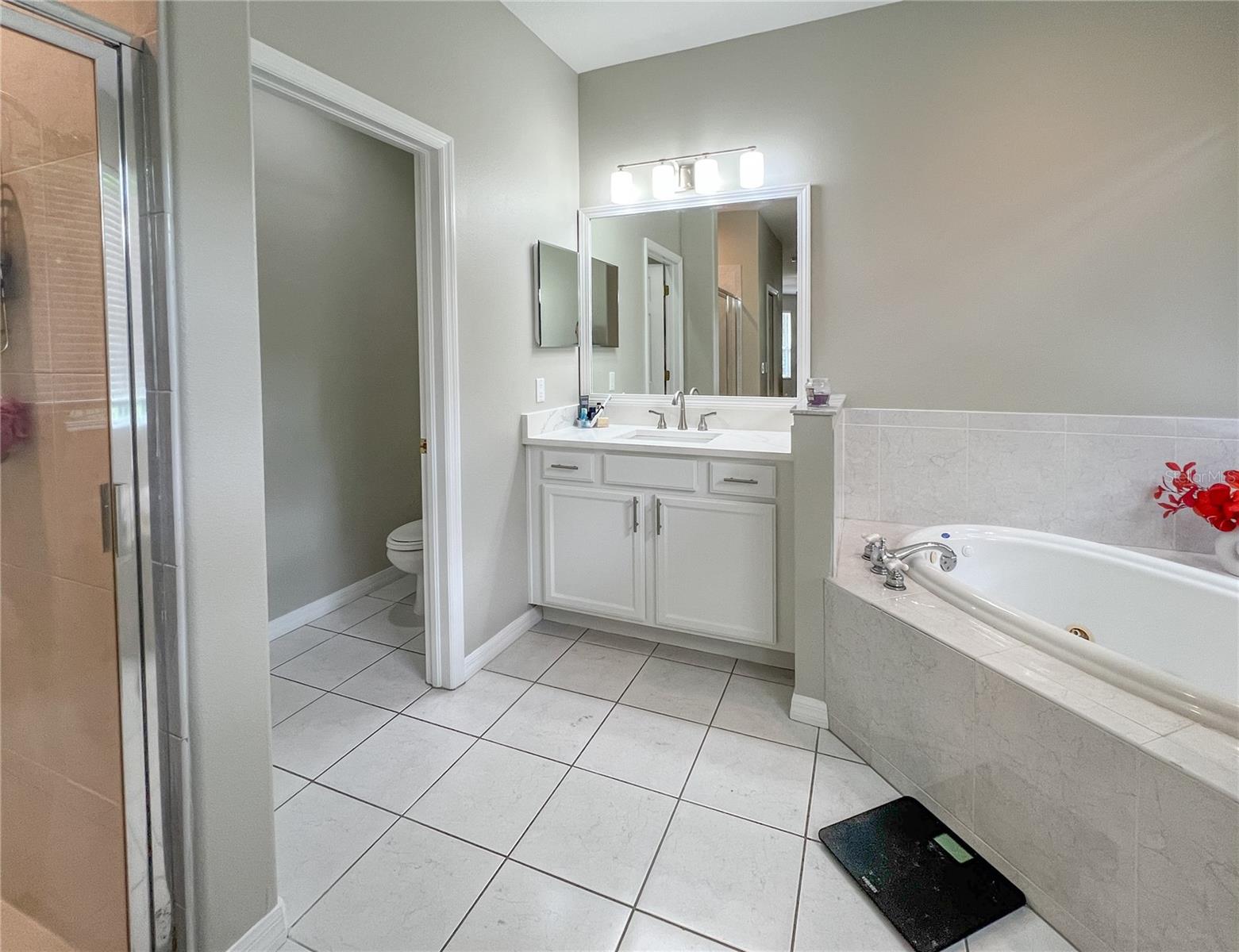 9046 SHENANDOAH RUN, WESLEY CHAPEL, FL, 33544