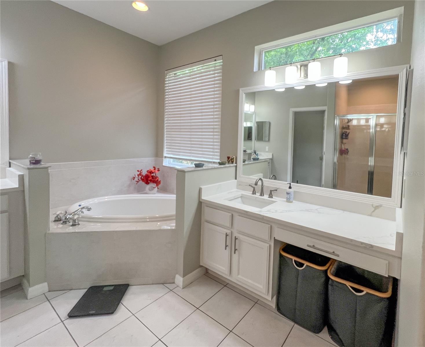 9046 SHENANDOAH RUN, WESLEY CHAPEL, FL, 33544
