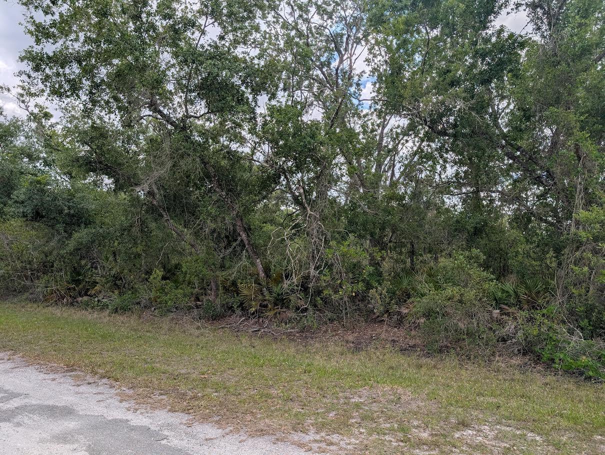 1009 AZALEA DR, INDIAN LAKE ESTATES, FL, 33855