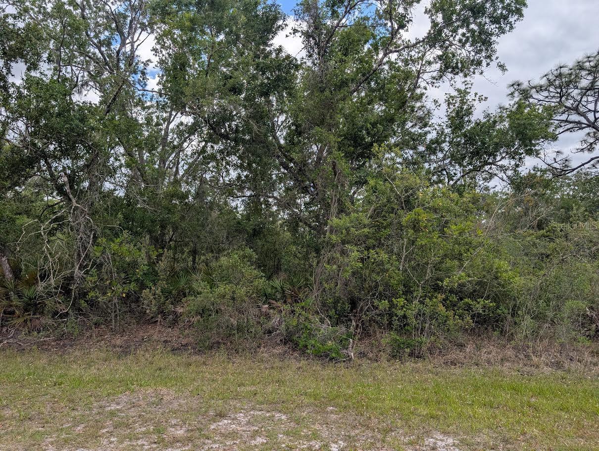 1009 AZALEA DR, INDIAN LAKE ESTATES, FL, 33855