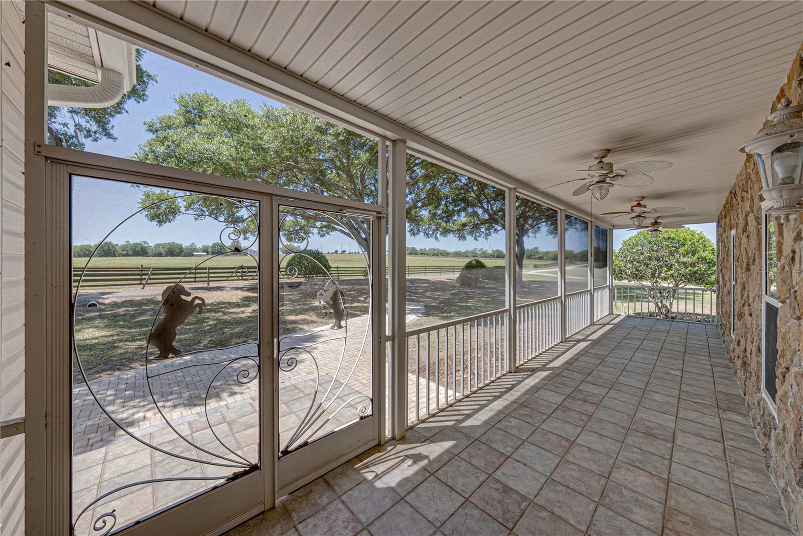 29001 BAYHEAD RD, DADE CITY, FL, 33523