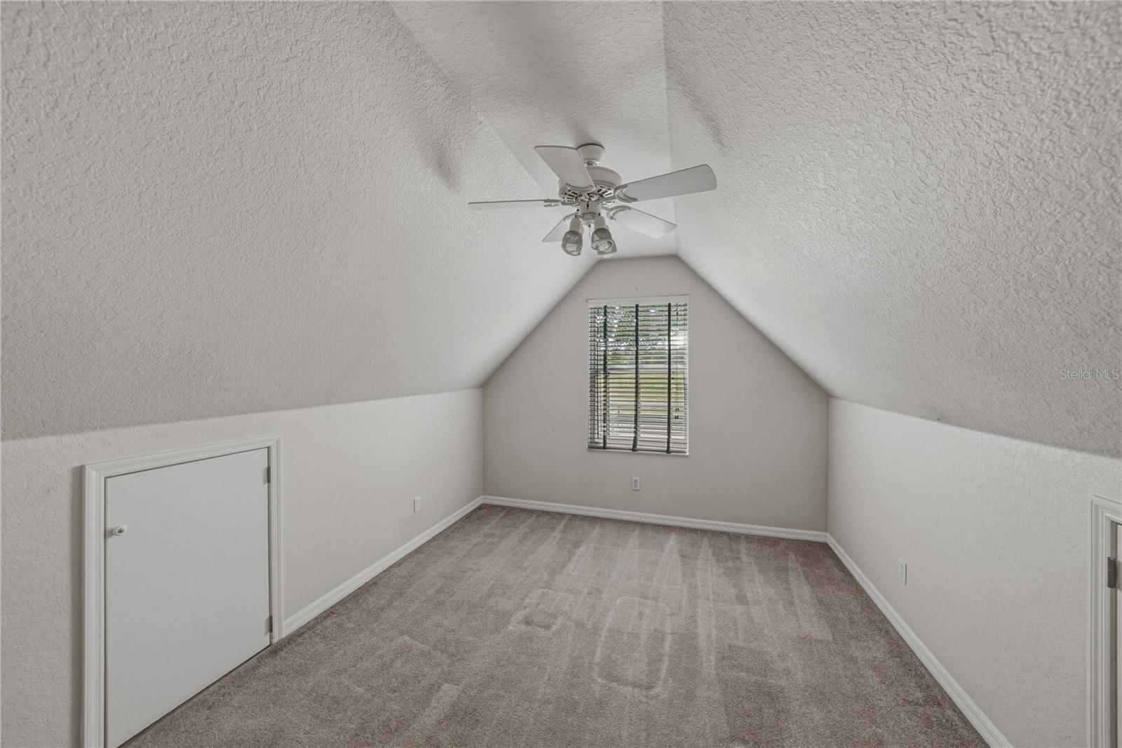 29001 BAYHEAD RD, DADE CITY, FL, 33523