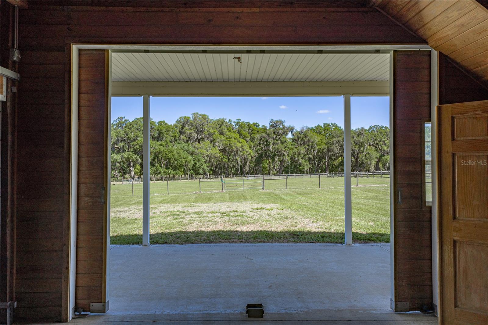 29001 BAYHEAD RD, DADE CITY, FL, 33523