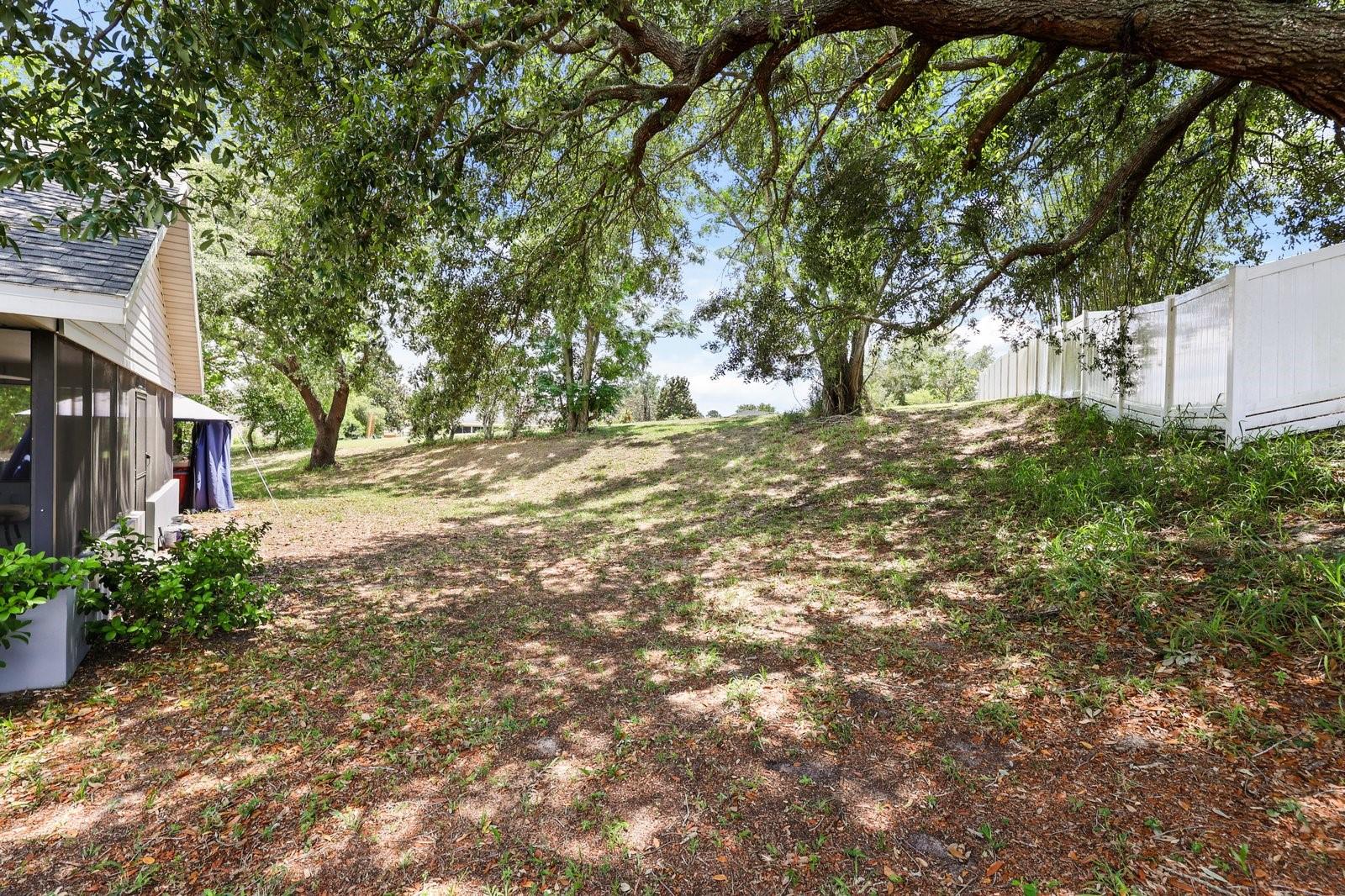 37153 COUNTY ROAD 452, GRAND ISLAND, FL, 32735
