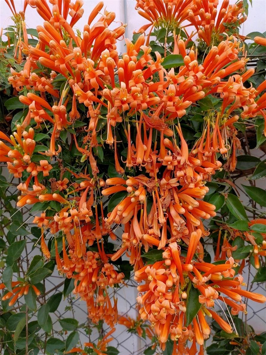 7800 BROOKRIDGE DR, PORT RICHEY, FL, 34668