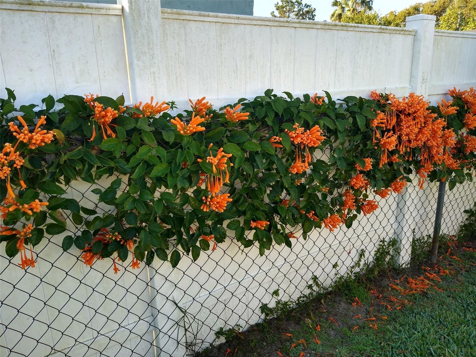 7800 BROOKRIDGE DR, PORT RICHEY, FL, 34668