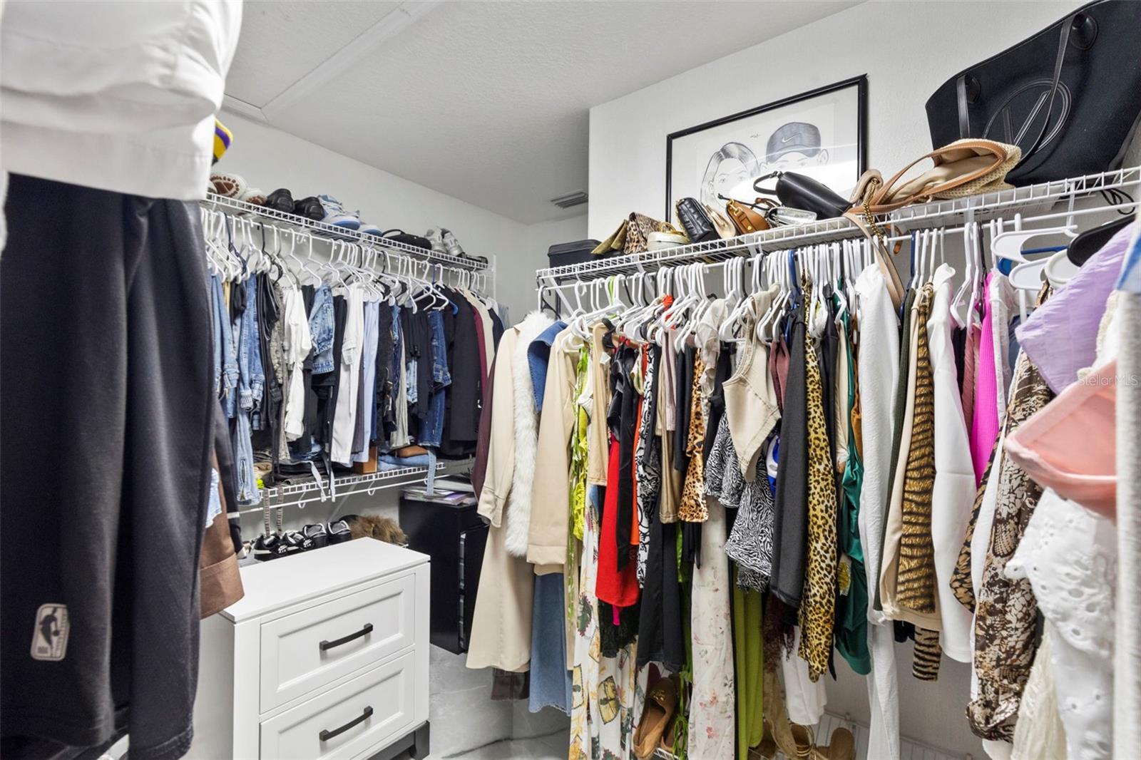 8019 N GOMEZ AVE, TAMPA, FL, 33614