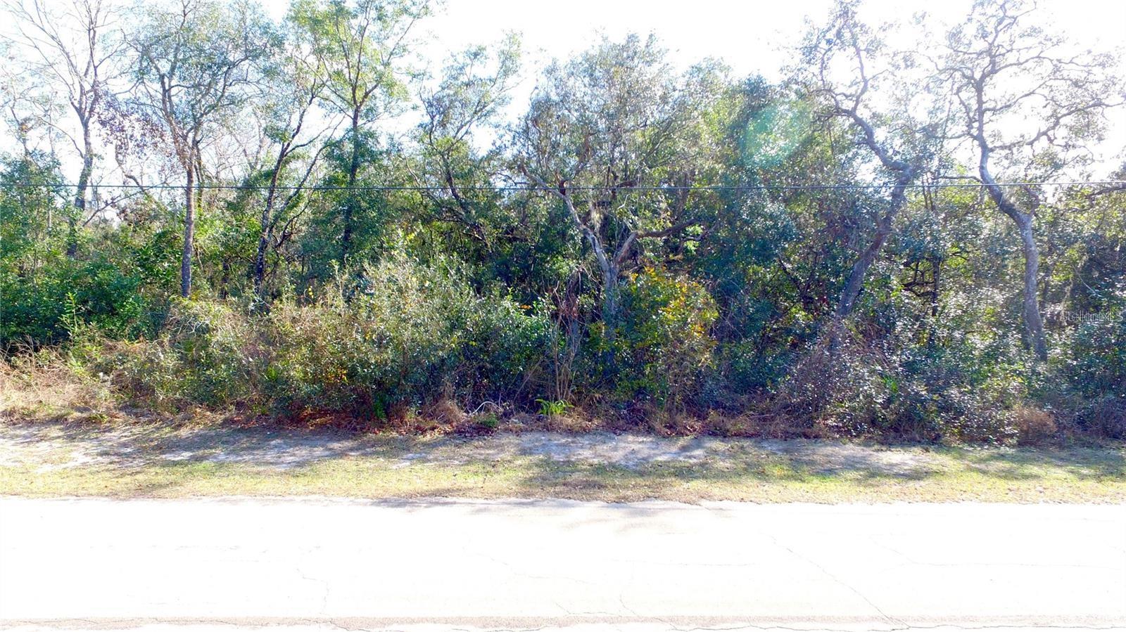 11142 E SAILFISH WAY, FLORAL CITY, FL, 34436
