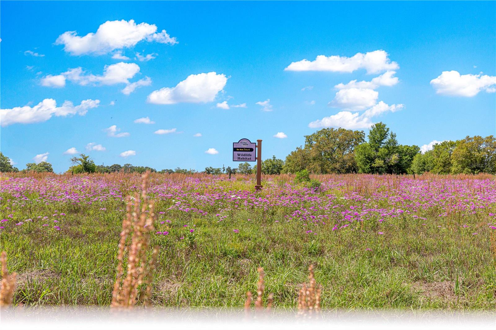 9728 SW 94TH CT #B, OCALA, FL, 34481