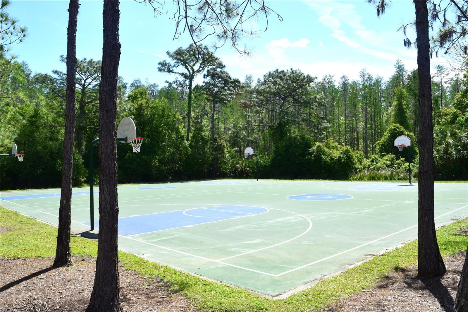 1112 HILLHURST DR, WESLEY CHAPEL, FL, 33543