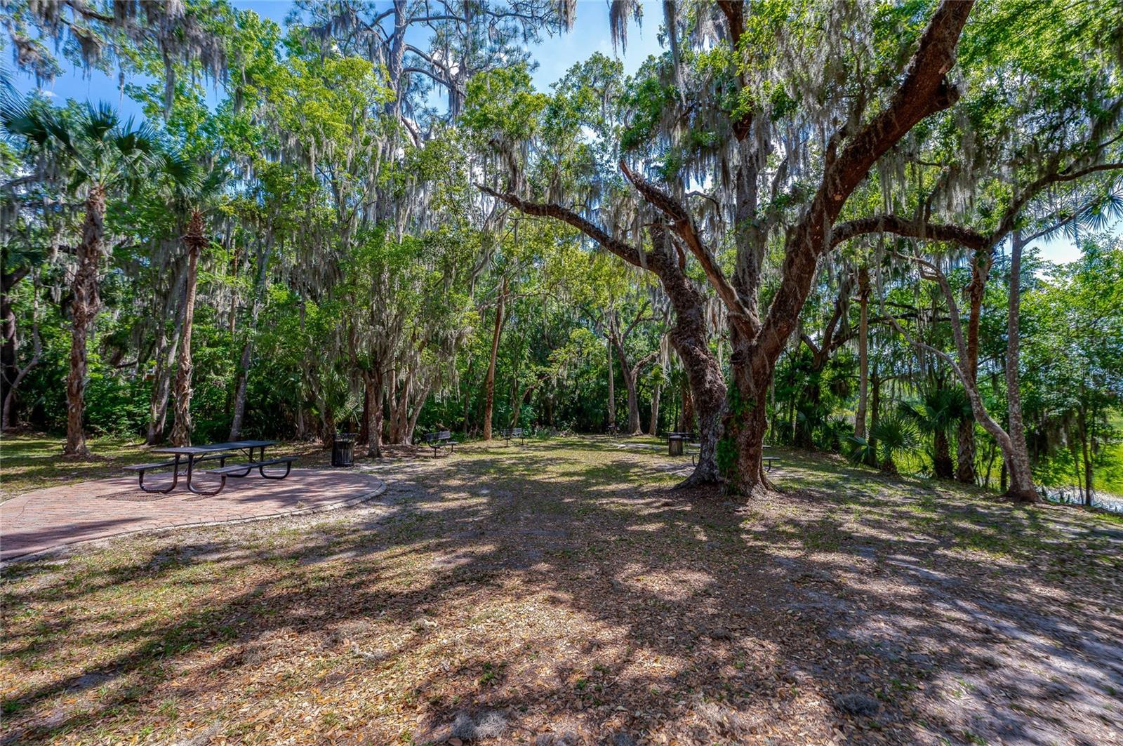 135 ANCONA AVE, DEBARY, FL, 32713