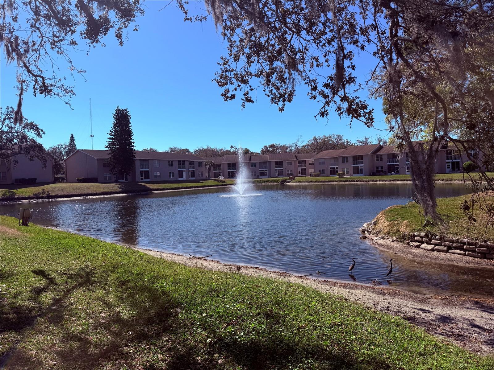 6519 SPRING FLOWER DR #22, NEW PORT RICHEY, FL, 34653