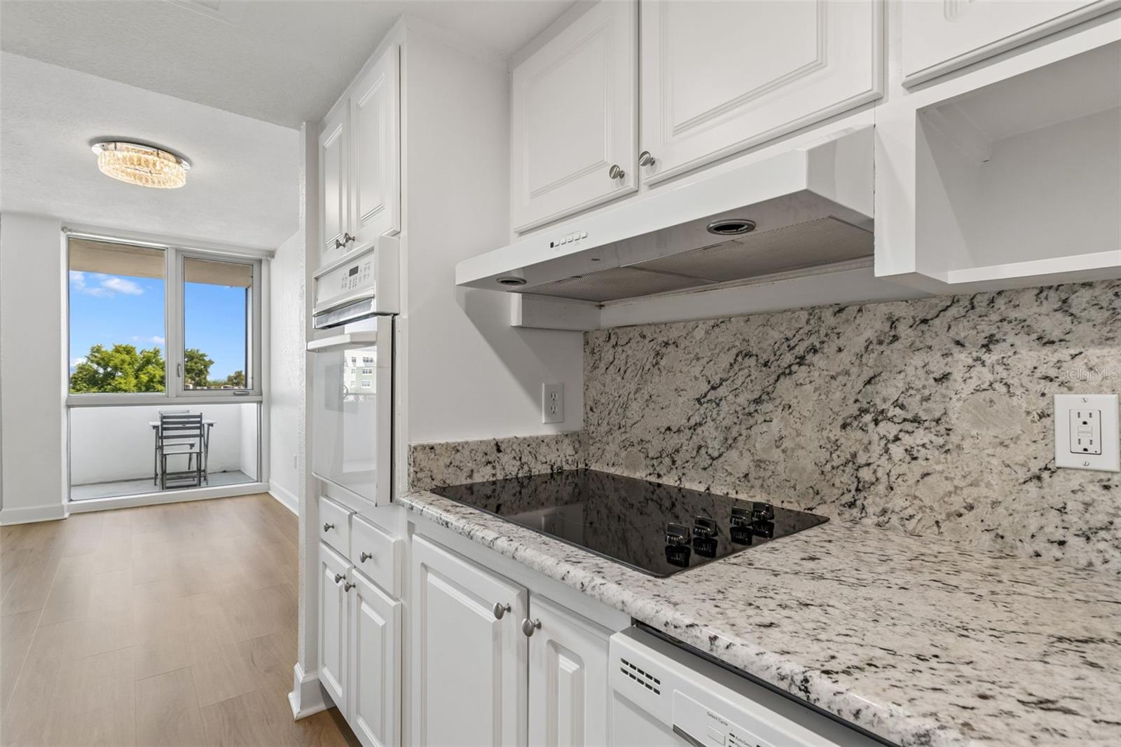 470 3RD ST S #517, ST PETERSBURG, FL, 33701