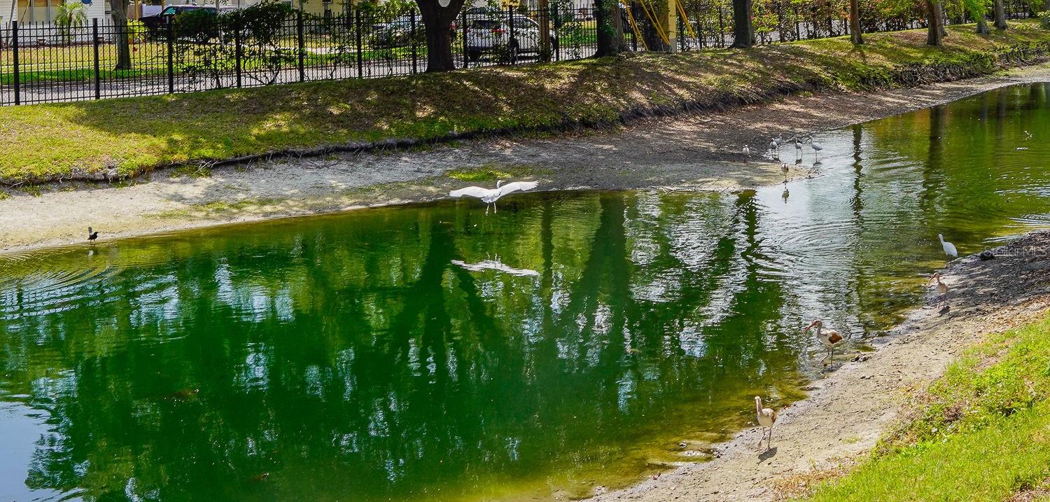 176 COQUINA BAY DR DR, ST PETERSBURG, FL, 33705