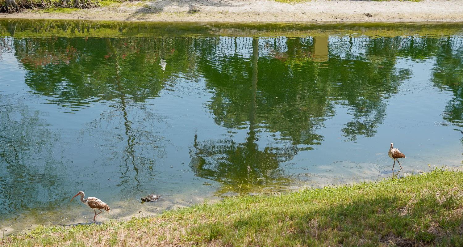 176 COQUINA BAY DR DR, ST PETERSBURG, FL, 33705