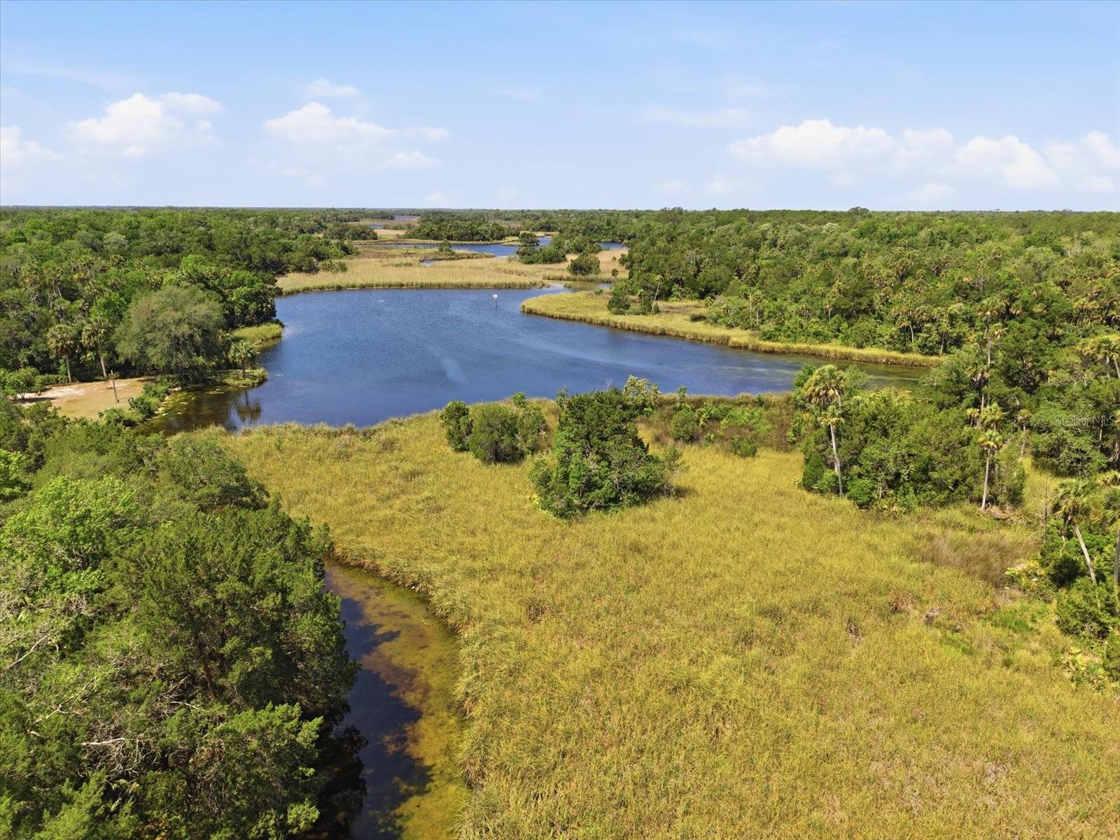 8979 W WHITE DOGWOOD DR, HOMOSASSA, FL, 34448