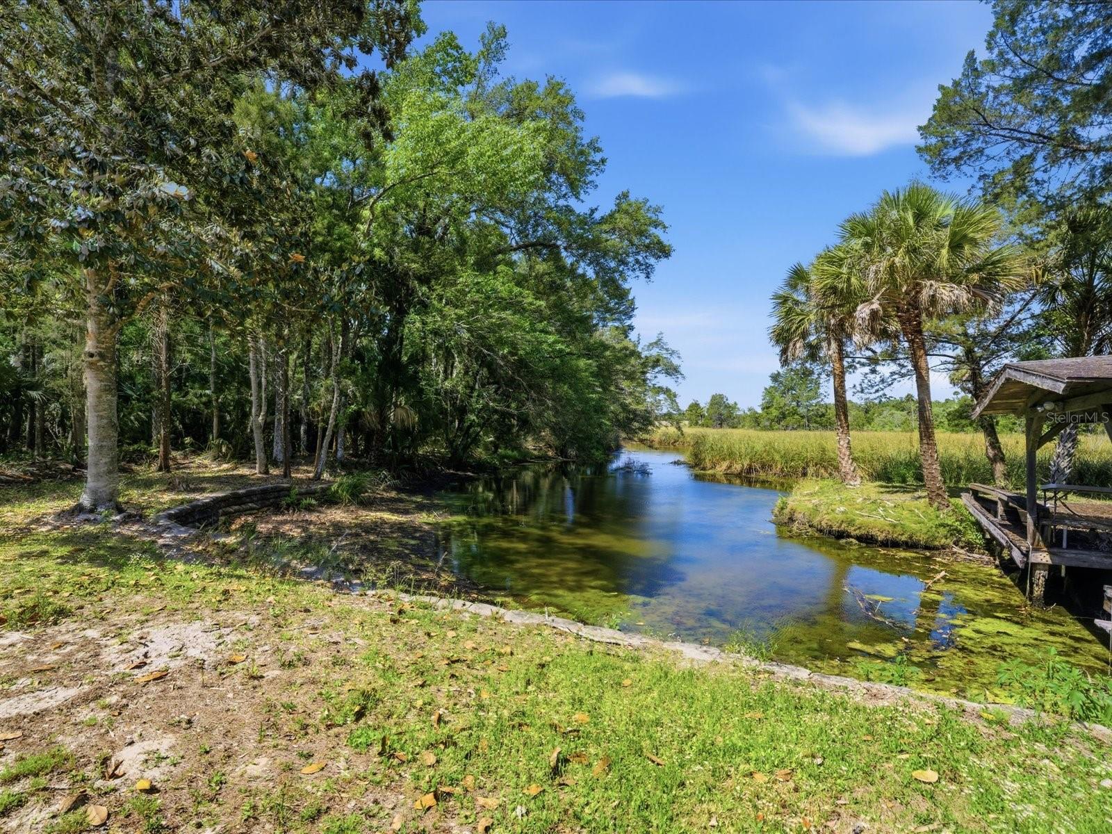 8979 W WHITE DOGWOOD DR, HOMOSASSA, FL, 34448