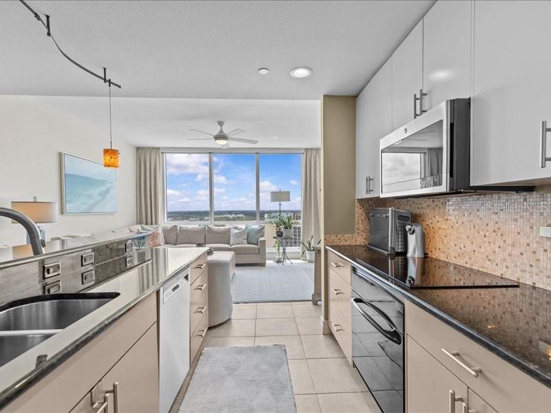 331 CLEVELAND ST #1702, CLEARWATER, FL, 33755