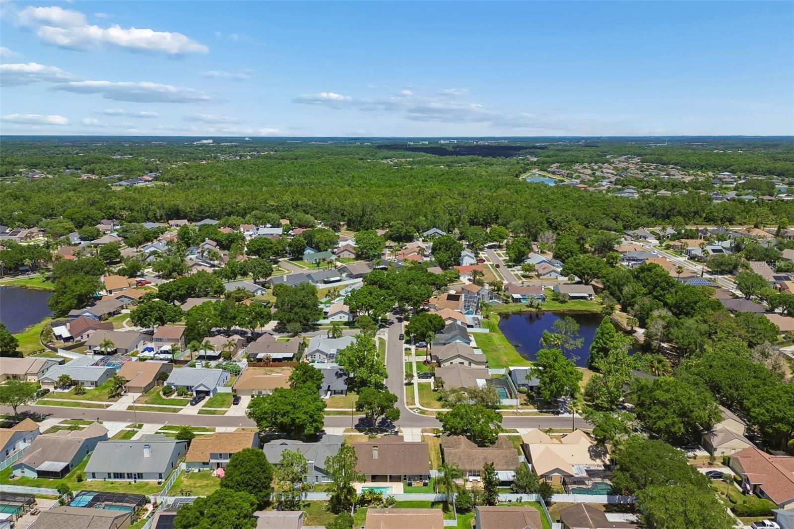 9735 CYPRESS POND AVE, TAMPA, FL, 33647