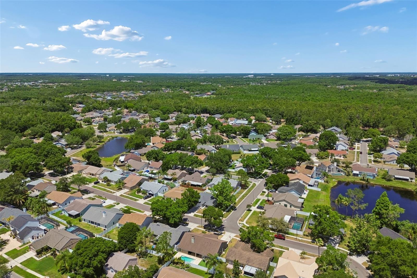 9735 CYPRESS POND AVE, TAMPA, FL, 33647