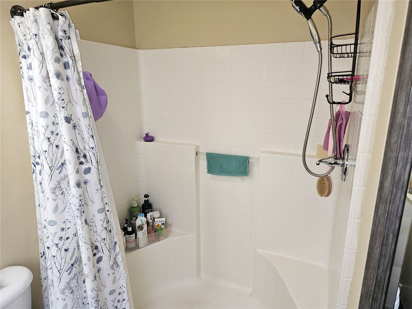 1613 MOSAIC FOREST DR, SEFFNER, FL, 33584