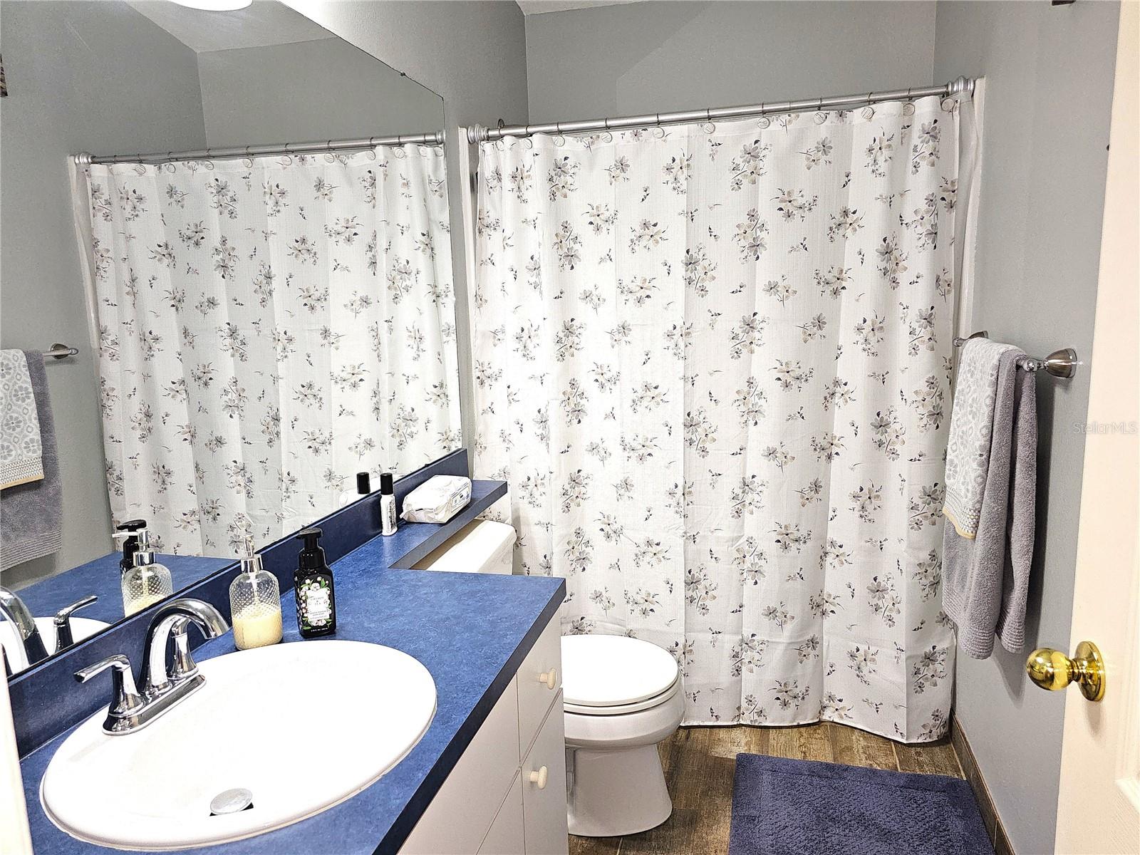 1613 MOSAIC FOREST DR, SEFFNER, FL, 33584