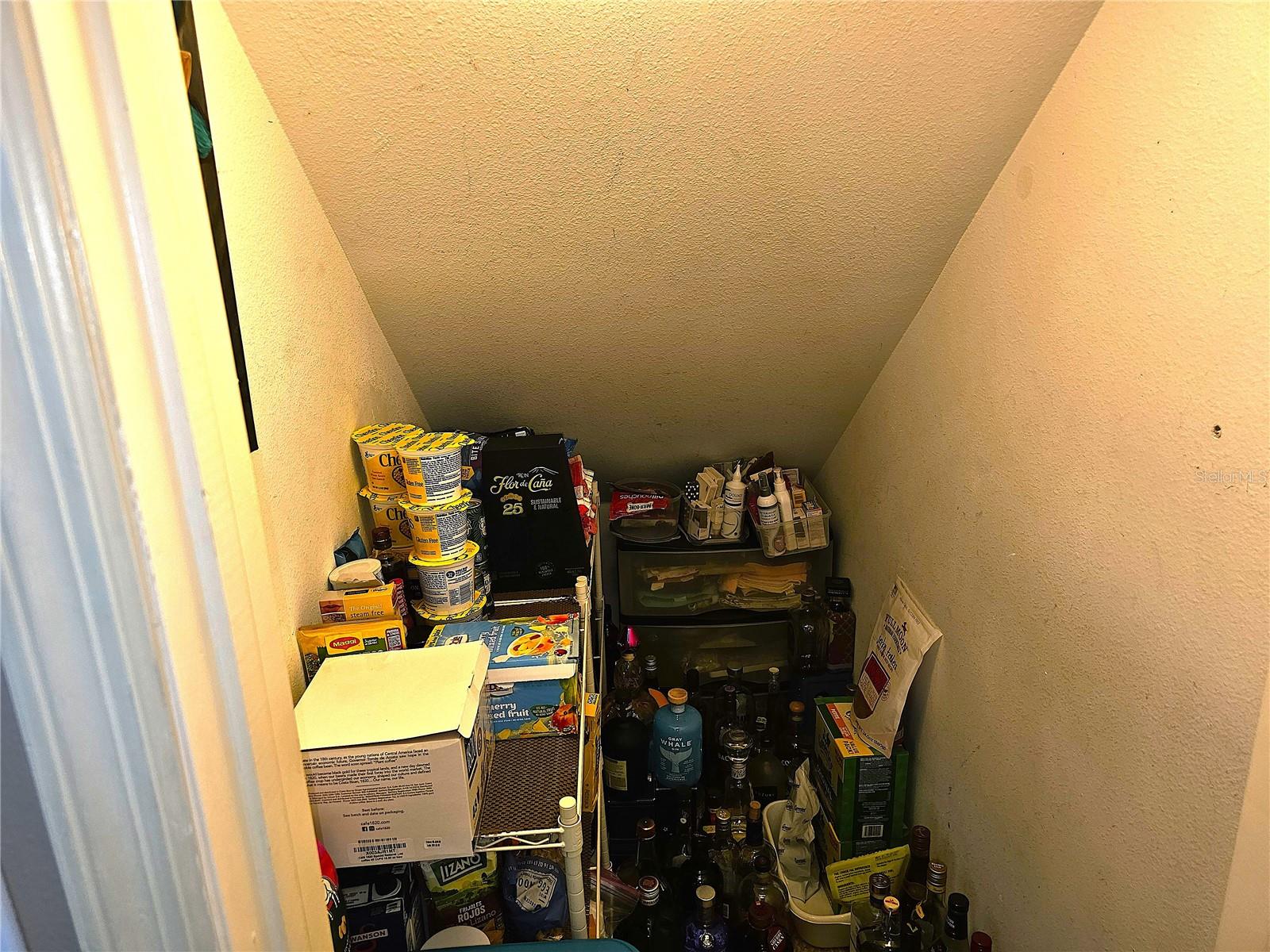 1613 MOSAIC FOREST DR, SEFFNER, FL, 33584