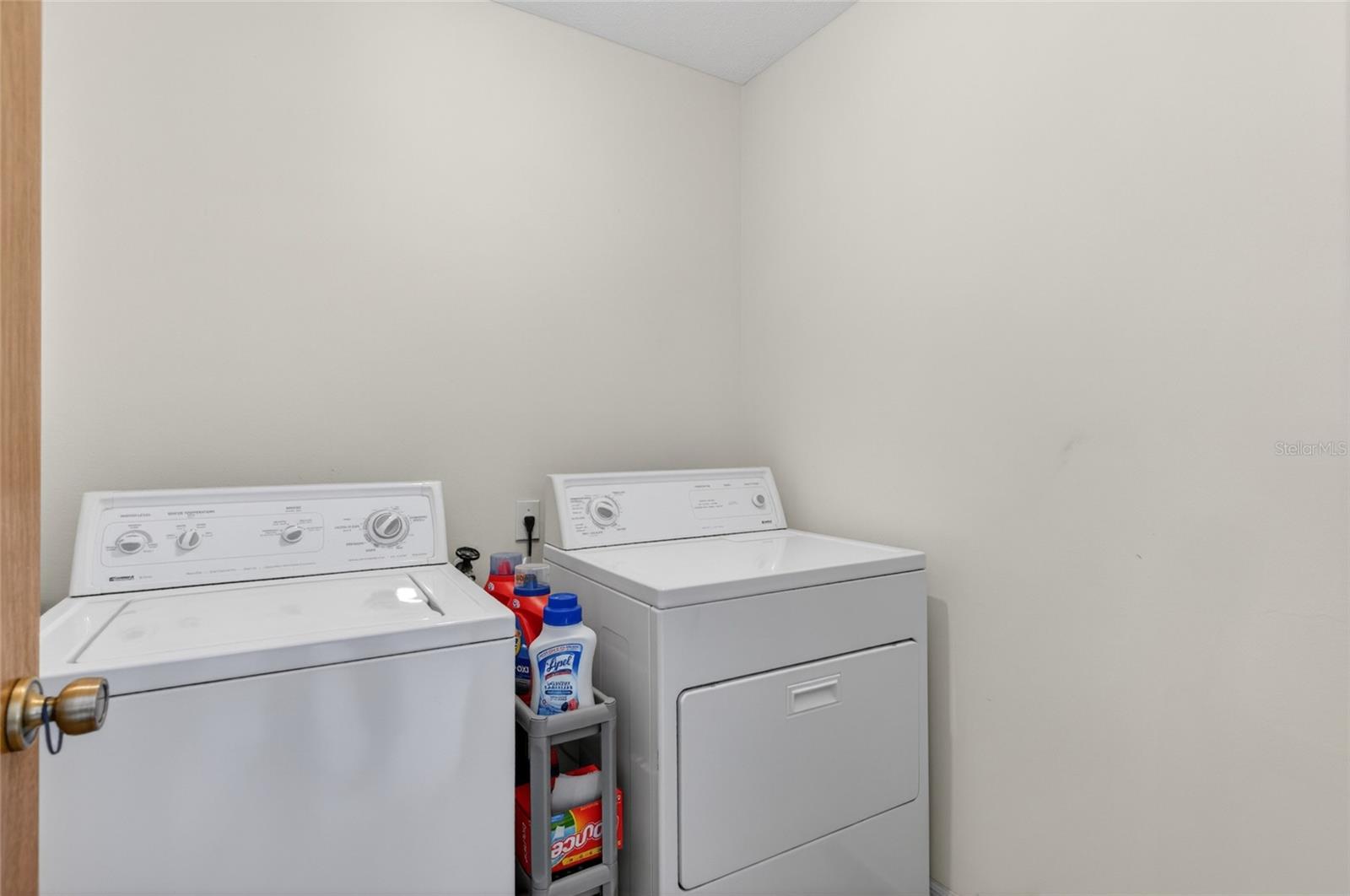 42 LARCH RADL, OCALA, FL, 34480