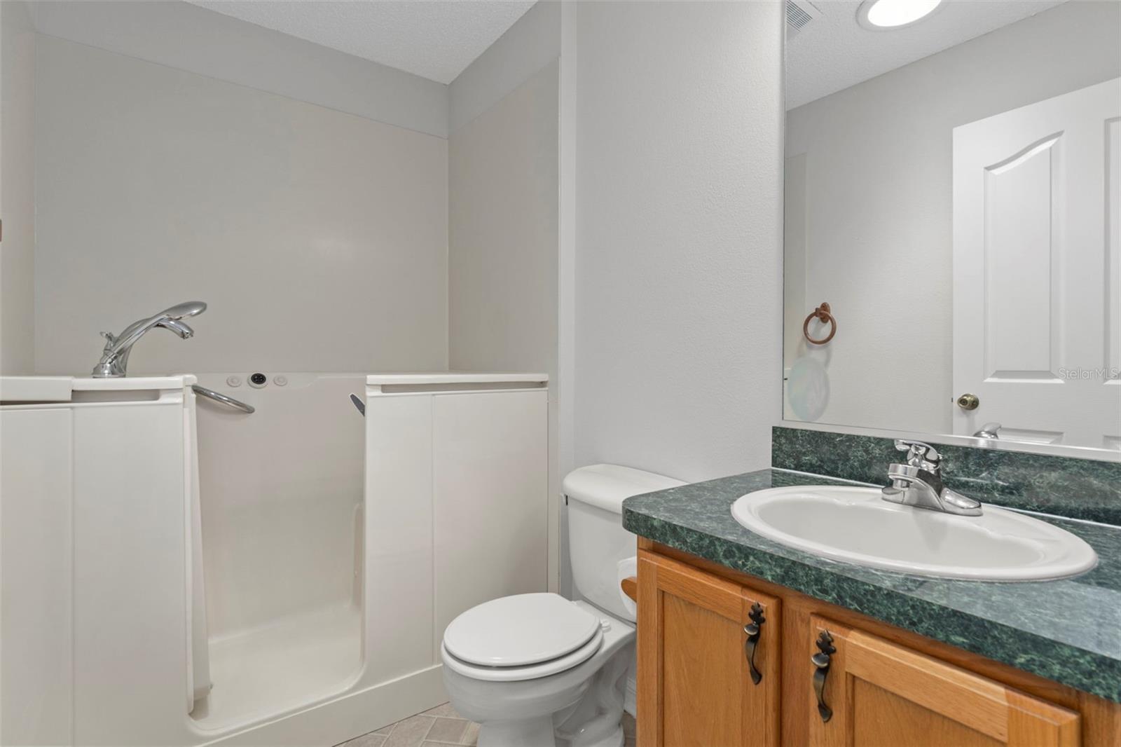 3189 ATWELL AVE, THE VILLAGES, FL, 32162