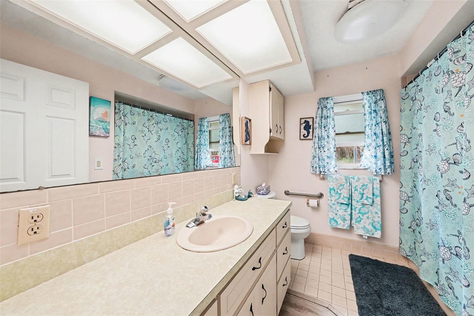 8251 EARLSHIRE LN, SPRING HILL, FL, 34606