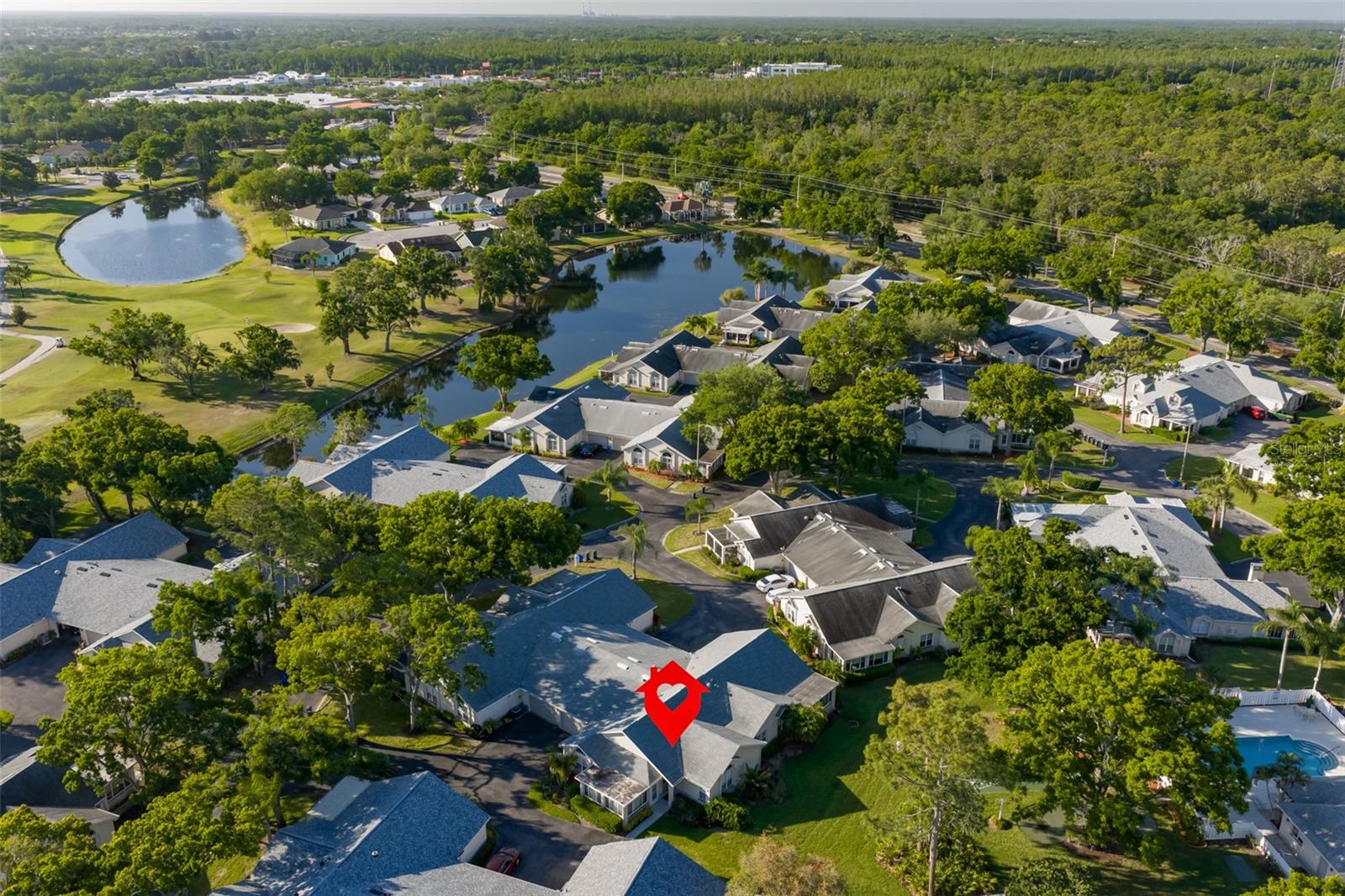 1115 GOLFVIEW WOODS DR, SUN CITY CENTER, FL, 33573