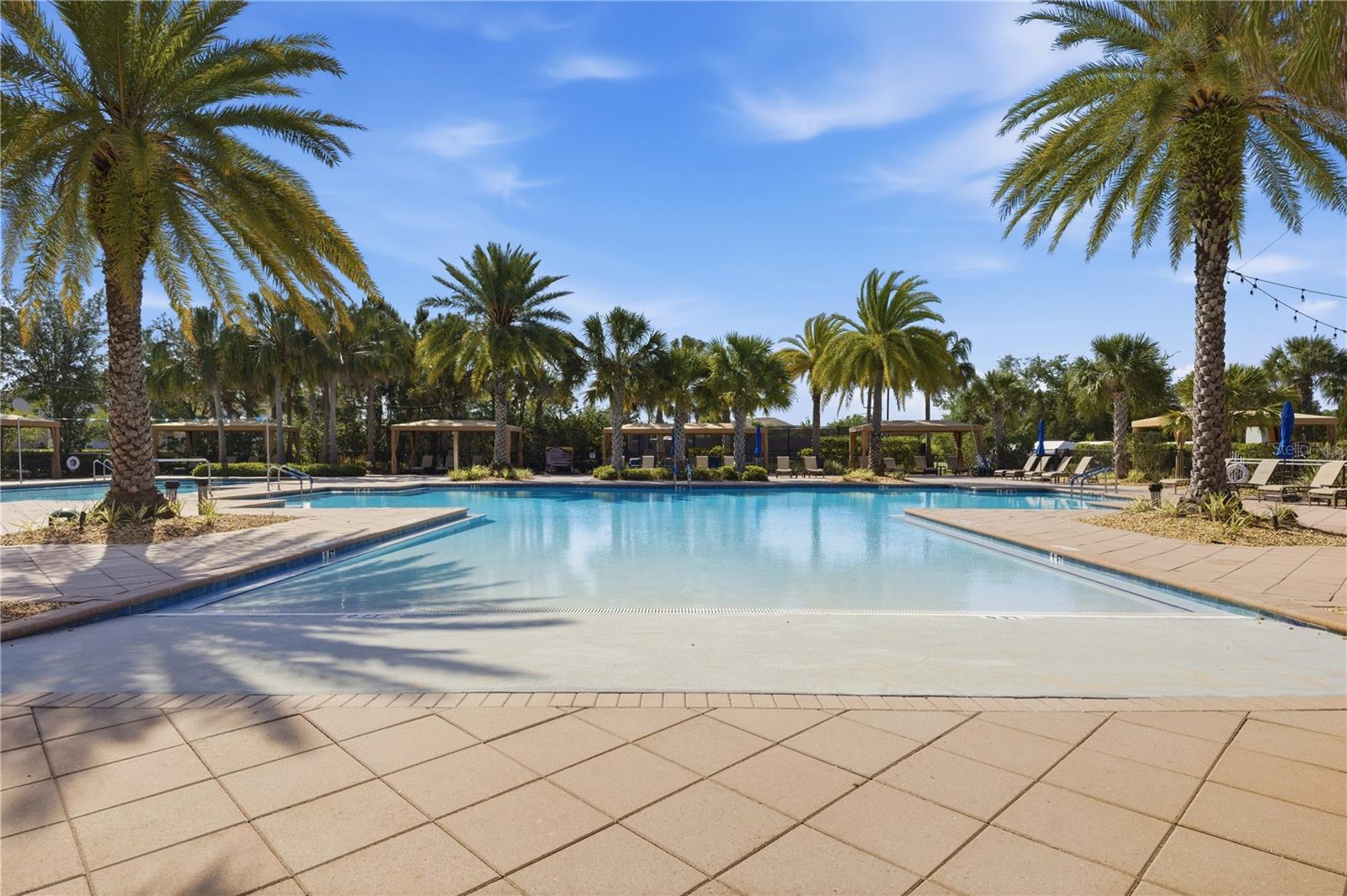 31490 CHESAPEAKE BAY DR, WESLEY CHAPEL, FL, 33543