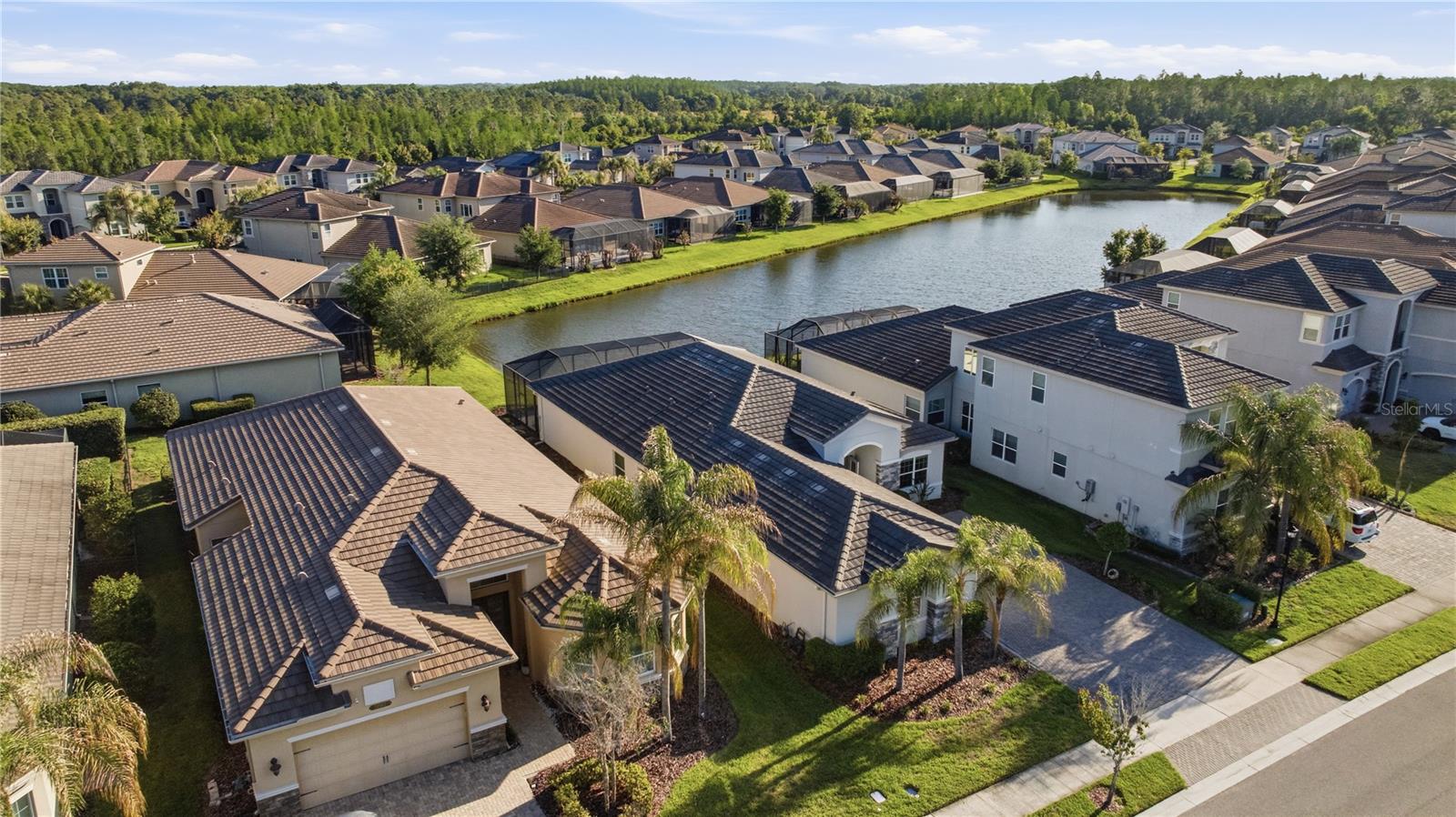 31490 CHESAPEAKE BAY DR, WESLEY CHAPEL, FL, 33543